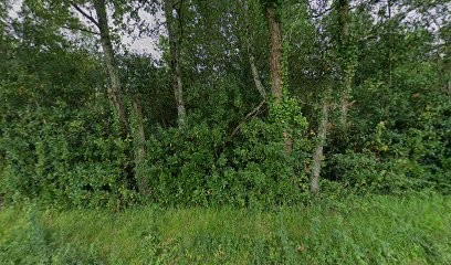 Laetitia Bouchaud, Thérapeute Reiki à Bran