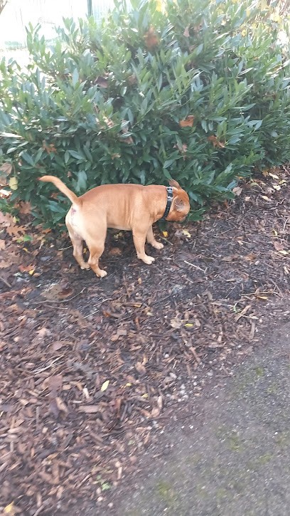 Nathalie Boisson Thérapeute Magnétisme-Shiatsu-Reiki Usui, Thérapeute Reiki à Carmaux