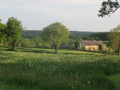 The Field Retreat, Cours de Yoga à Malleret-Boussac