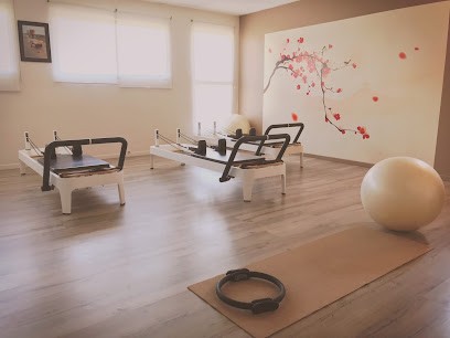 Delta Pilates By Jm Mahieu, Studio de Pilates à L'Isle-sur-la-Sorgue