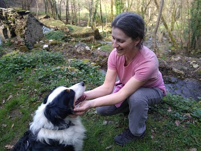 COCOON NRJ, Thérapeute Reiki à Vielleségure