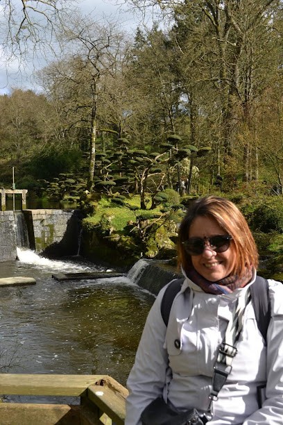 SYLENA REIKI Sylvie BOUTHET, Thérapeute Reiki à La Boissière-en-Gâtine