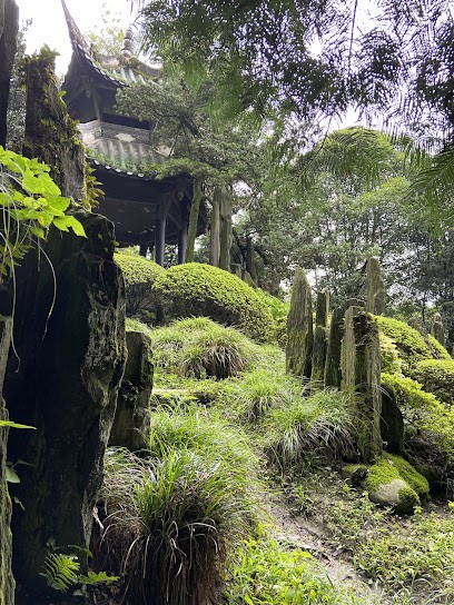 Laurence Gormier, Thérapeute Reiki à Limonest