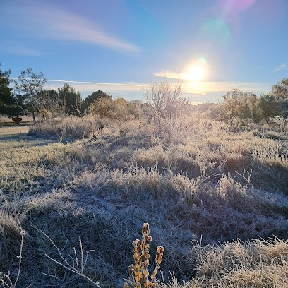 Kinga Yoga Fuveau Marseille Meyreuil, Cours de Yoga à Meyreuil