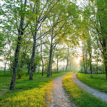 La Tambourinerie, Cours de Yoga à Mouzeuil-Saint-Martin