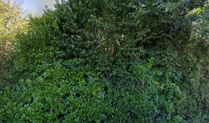 Soins Energetiques Bien-Etre Meditation Energeticien Haute-Vienne Saint-Leger Limoges, Thérapeute Reiki à Dompierre-les-Églises