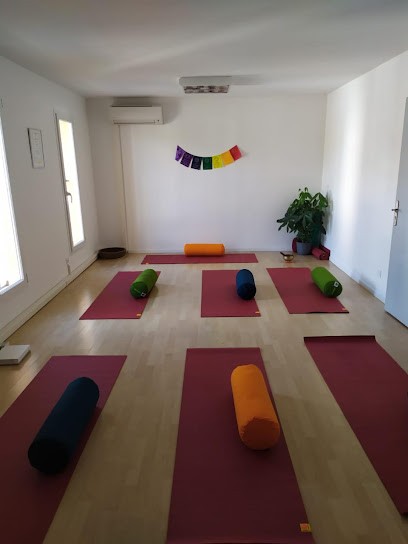 Studio Yogalysy, Cours de Yoga à Sanary-sur-Mer
