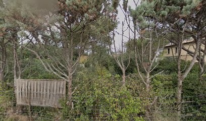 Air Libre Yoga, Cours de Yoga à Villeneuve-lès-Avignon