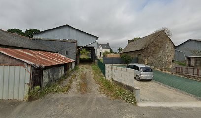 SALAUN Pascale Magnétiseur, Thérapeute Reiki à Gueltas