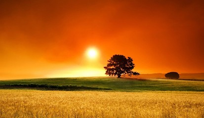 Reiki - Magnétiseur, Thérapeute Reiki à Meussia