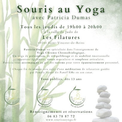 Mouse The Yoga With Patricia Dumas, Cours de Yoga à Saint-Vincent-de-Reins