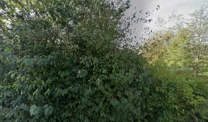 Roselyne Soulié - Yoga D'inspiration Tibétaine, Cours de Yoga à Saint-Côme-d'Olt