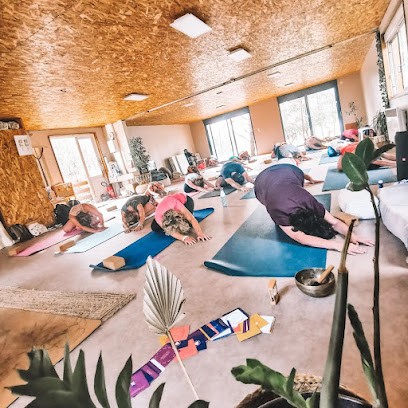 Vitale Energie Yoga, Cours de Yoga à Mios