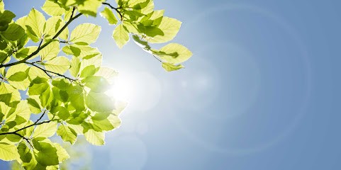 Reiki Sonore - Ingrid Ferret-Peppelman, Thérapeute Reiki à Beausoleil