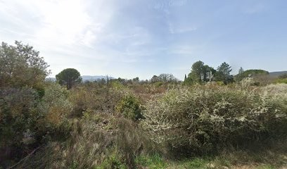 Ecole Of Yoga Damaru, Cours de Yoga à Saint-Maximin-la-Sainte-Baume