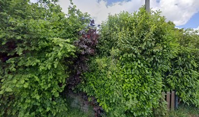 Sophie Julien Perriet, Cours de Yoga à Ury