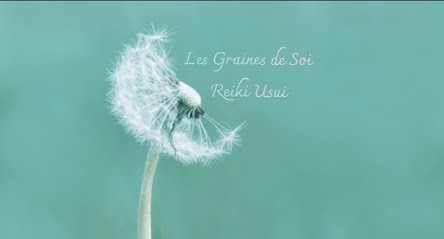 Les graines de soi, Thérapeute Reiki à Concarneau