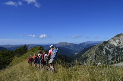 Les Petits Pas, Association De Yoga, De Marche Afghane Et De Cohérence Cardiaque, Cours de Yoga à Tarbes