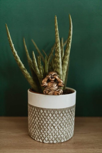 Christelle lumière de vie, Thérapeute Reiki à Lipsheim