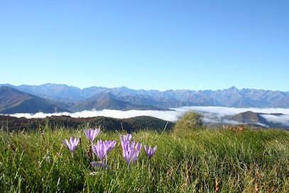 Jacky Boutin Reiki Nature Couserans, Thérapeute Reiki à Biert