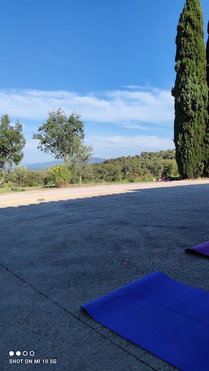 Yoga Sainte Baume, Cours de Yoga à Saint-Maximin-la-Sainte-Baume