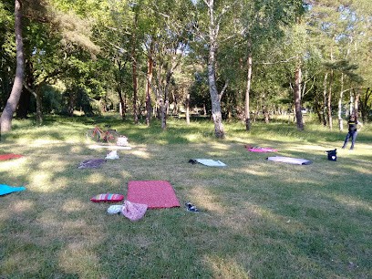 Yogana, Cours de Yoga à Saint-Nazaire