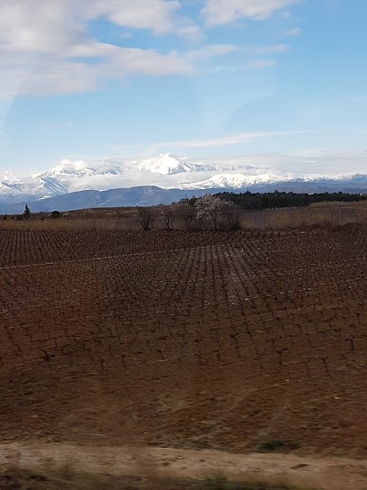 Yoga Soleil Rouge, Cours de Yoga à Pollestres