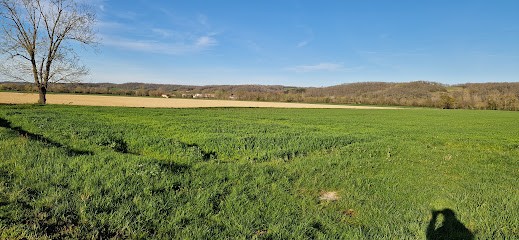 Yoga Dans Le Gers - Yoga Kaivalya - Magali, Cours de Yoga à Saint-Sauvy