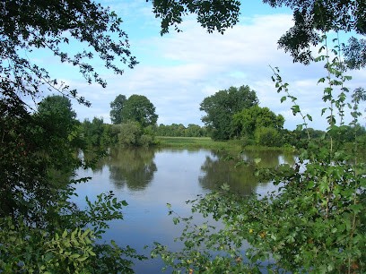 Energie.angélique, Thérapeute Reiki à Parmain