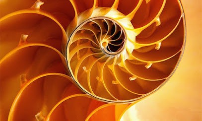 Martine PORTAL - Praticienne & Maître Reiki Nièvre, Thérapeute Reiki à Tannay