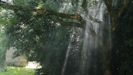 L'envol du Papillon, Thérapeute Reiki à La Chapelle-Heulin