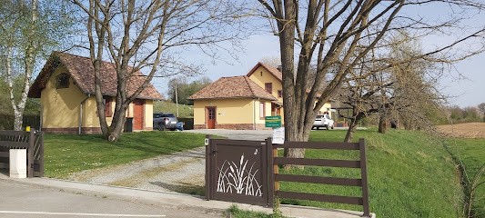 Betsy Thérapie, Thérapeute Reiki à Altenach
