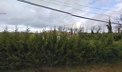 Association : SYNAPS' ANGE, Thérapeute Reiki à Pavie