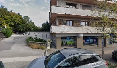 Energétique Traditionnelle Chinoise, Thérapeute Reiki à Pringy