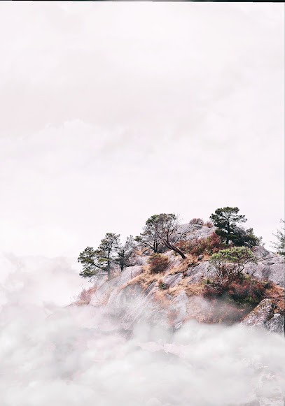 Fabiola Mechin Thérapeute Energeticienne, Thérapeute Reiki à Mosnes