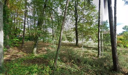 Association Ré é ki libre, Thérapeute Reiki à Chancelade