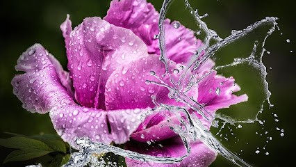 Blanchet Véronique - Moment De Sérénité, Thérapeute Reiki à Longèves