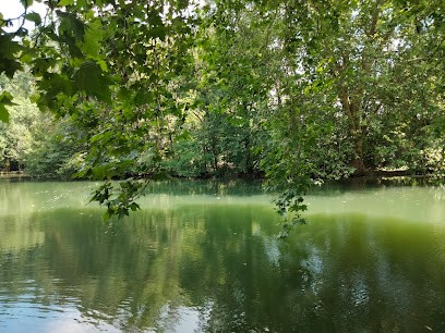 Atelier Du Yoga, Cours de Yoga à Niort