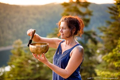 Anne Parisot : SHIATSU - MLC - BOLS TIBETAINS - REIKI, Thérapeute Reiki à Celles-sur-Plaine