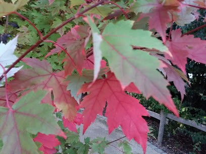 Laëtitia Menager-quent, Thérapeute Reiki à Montreuil-Juigné