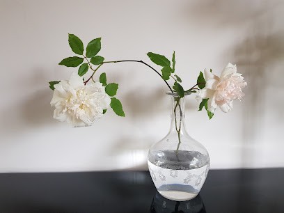 Adèle Reiki, Thérapeute Reiki à Nanterre