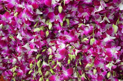 Yoga À Neuilly Sur Seine, Cours de Yoga à Neuilly-sur-Seine