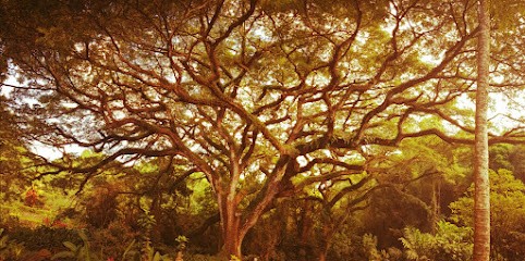 Kundalini Yoga Avec Anne-Laure, Cours de Yoga à Vinon-sur-Verdon
