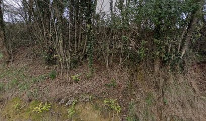 Zen Tao, Thérapeute Reiki à Crozes-Hermitage