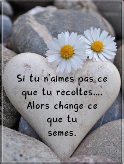 Aurore Ferron, médium, Reïki, Sophrologue, Thérapie de l'être, Facilitatrice d'éveil, Processus de transformation, Thérapeute Reiki à Chauffailles