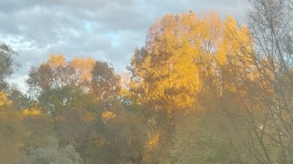 Eau habitat et vitalité Alsace, Thérapeute Reiki à Holtzheim