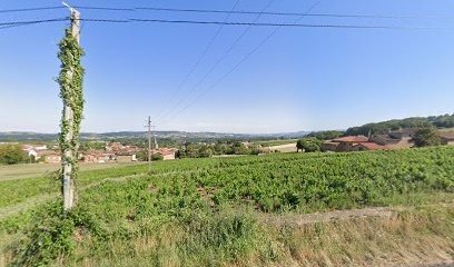 Marie-Cécile Truchot, Thérapeute Reiki à Frontenas