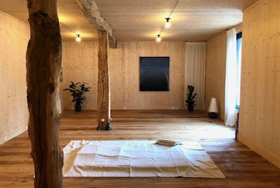 Ecole Of Vinyasa Edv, Cours de Yoga à Saint-Martin-d'Uriage