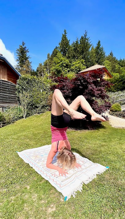 Mont Aiguille Yoga, Cours de Yoga à Monestier-de-Clermont
