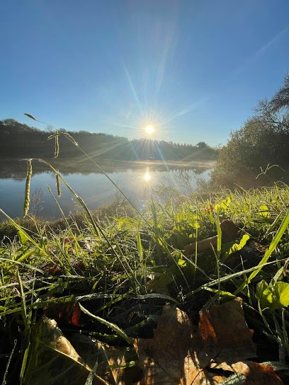 Maison Satya : Sagesses Ancestrales Traditionnelle De Yoga Et D'ayurveda, Cours de Yoga à Sainte-Marie-de-Gosse